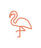 Copy of Flamingo - Orange